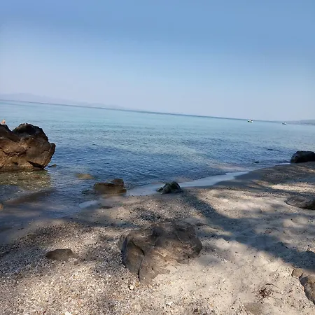 Europa Stefanos *