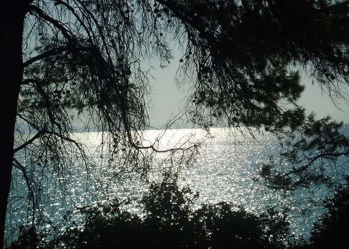 Europa Stefanos 克里皮吉