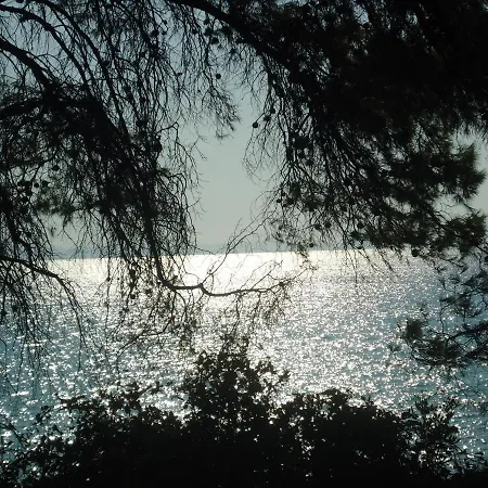 Europa Stefanos Kriopijí