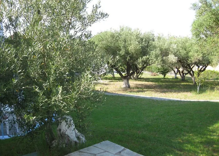 Europa Stefanos *